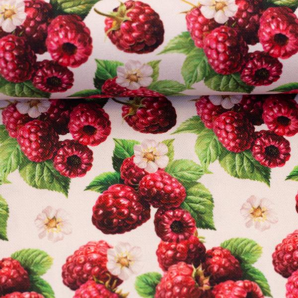 Dekodruck Matteo Himbeeren von Swafing